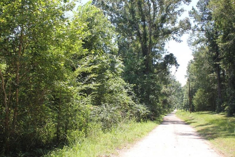 0 Buster's Paradise Ln, Cordesville, SC 29434