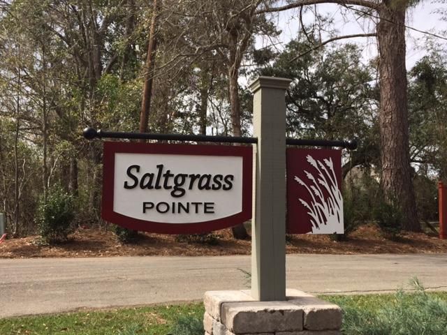 557 Saltgrass Pointe Dr, Charleston, SC 29412