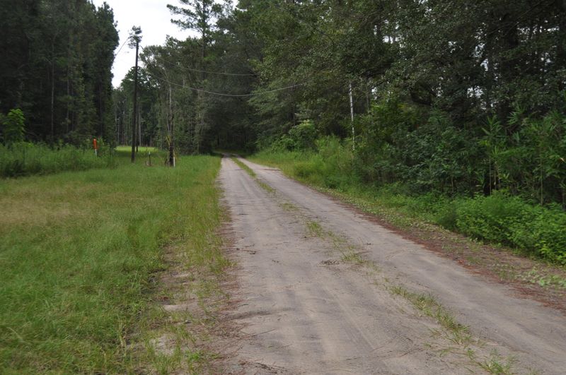 8150 Bing Hill Rd, Adams Run, SC 29426