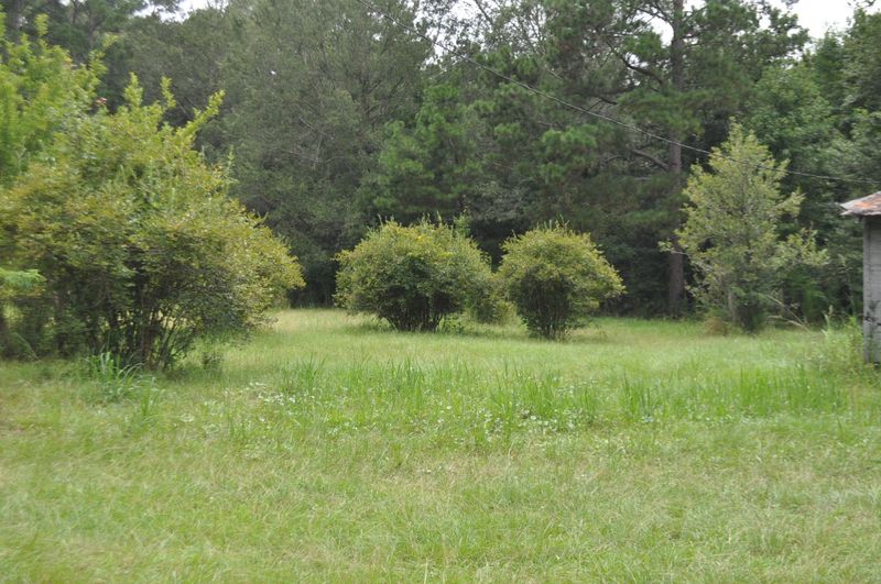 8150 Bing Hill Rd, Adams Run, SC 29426