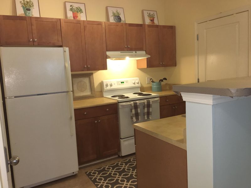 600 Bucksley Ln #203, Charleston, SC 29492