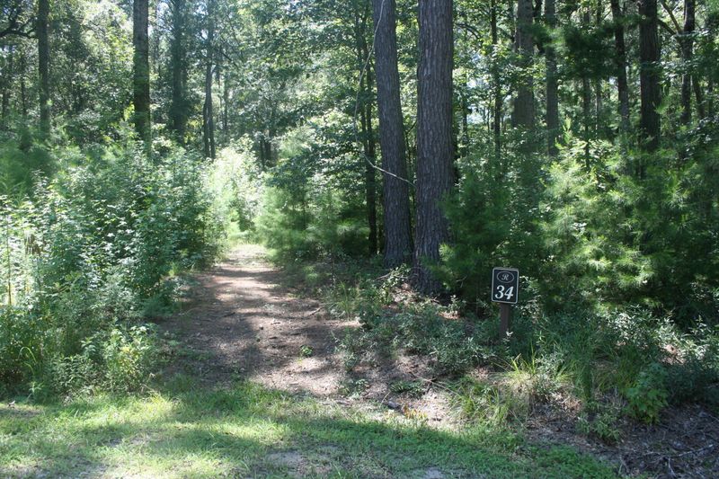 34 Buttonbush Dr, Ravenel, SC 29470