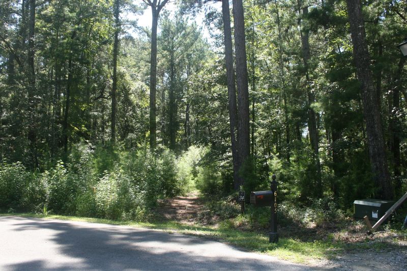 34 Buttonbush Dr, Ravenel, SC 29470