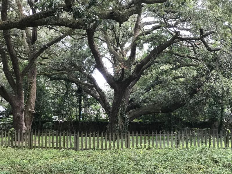 0 Stonewood Dr, Charleston, SC 29412