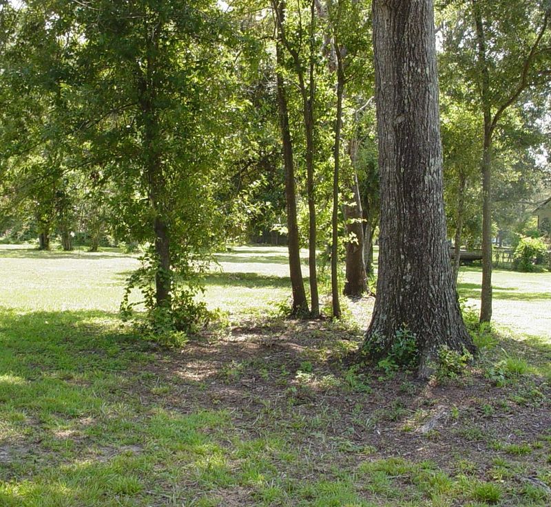 121 Broughton Hall Rd, Pinopolis, SC 29469
