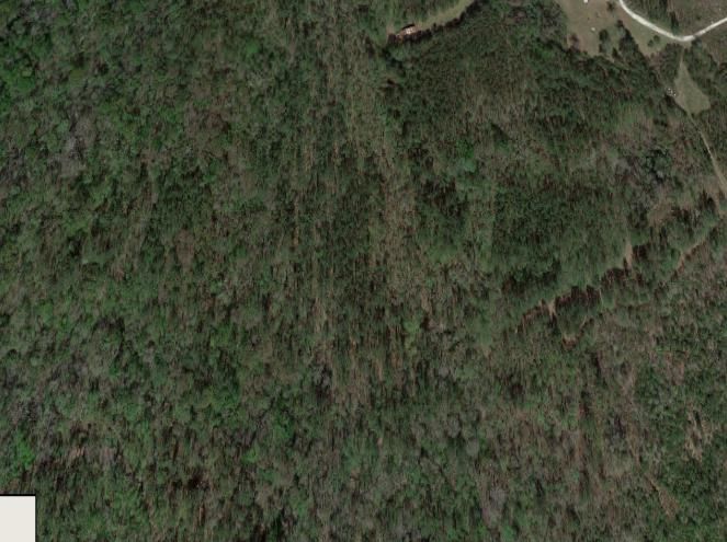 0 Waymaker Ln, Ridgeville, SC 29472