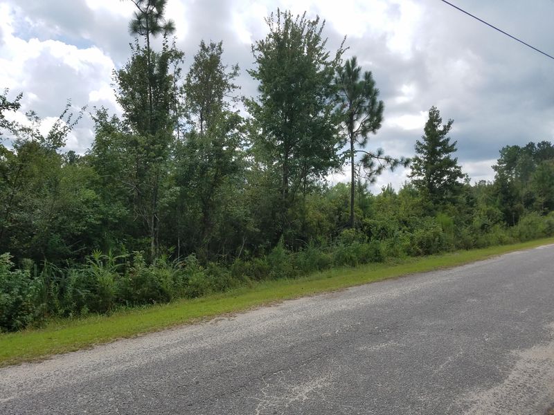 Lot 6 Scampini Pl, Moncks Corner, SC 29461