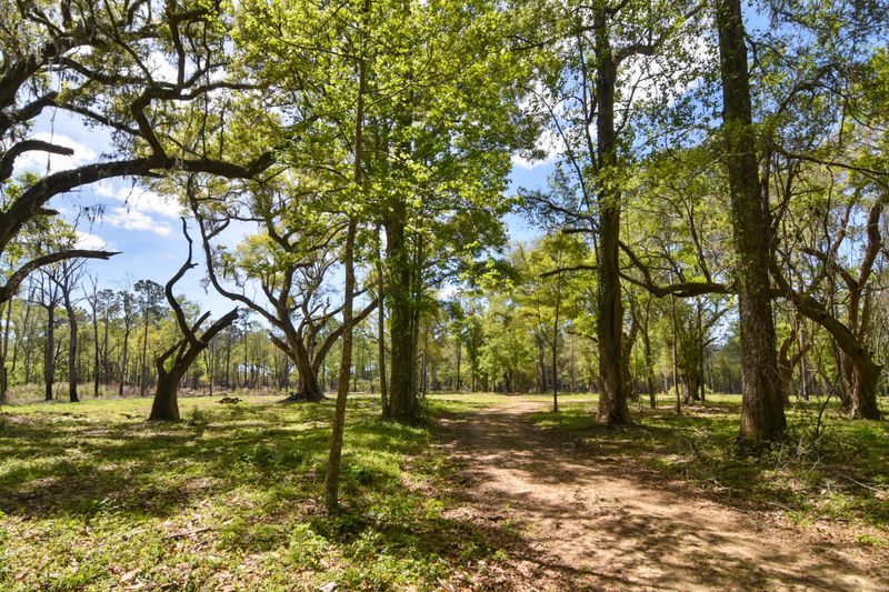 2 Maybank, Wadmalaw Island, SC 29487