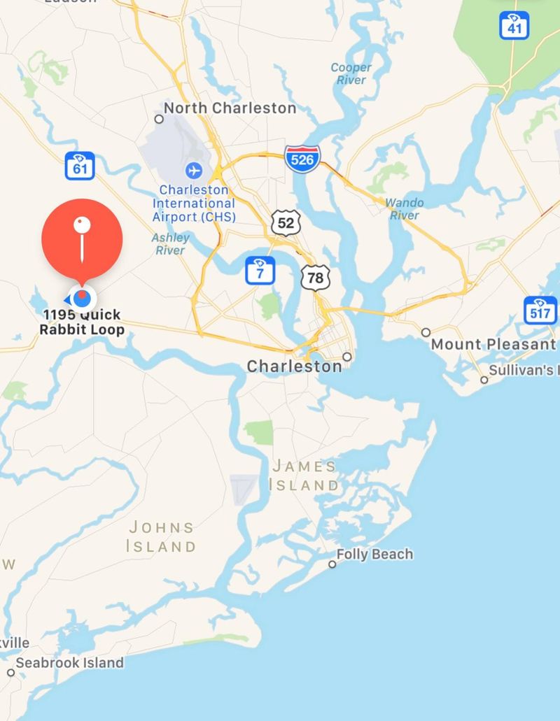 1483 Brockenfelt Dr, Charleston, SC 29414