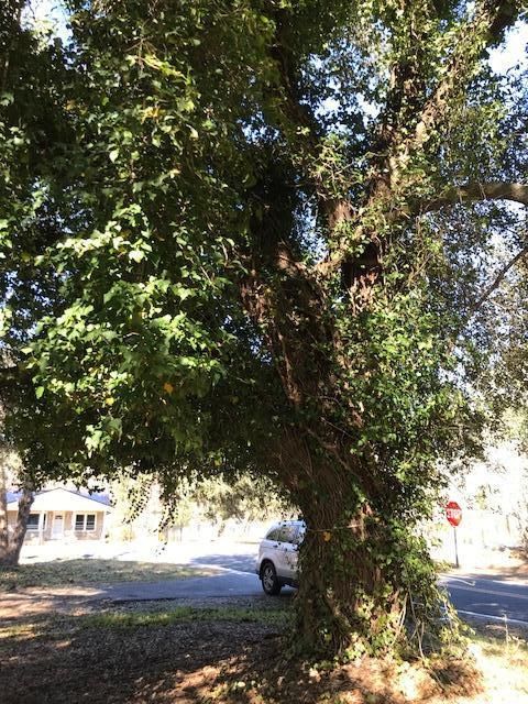 5193 Chapel Rd, Hollywood, SC 29449