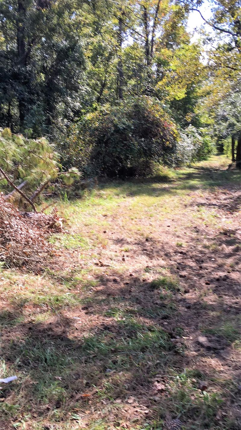 0 Arnold Dr, Ridgeville, SC 29472