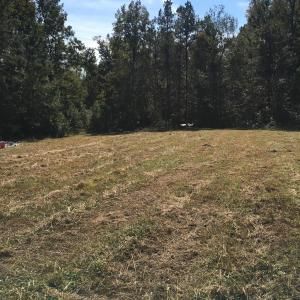 0 Arnold Dr, Ridgeville, SC 29472