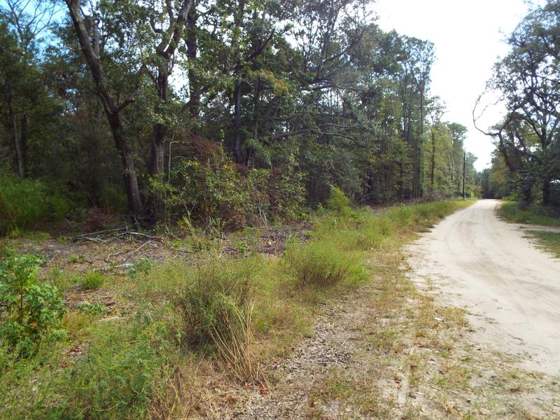 5728 Geathers Rd, Hollywood, SC 29449