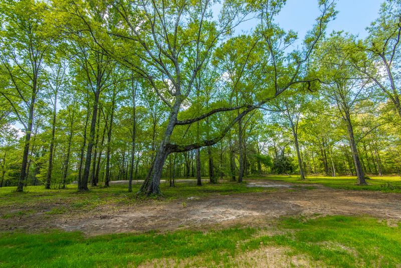 124 Mulberry Crossing Ln, Moncks Corner, SC 29461