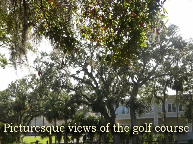 362 Sea Cloud Cir, Edisto Island, SC 29438