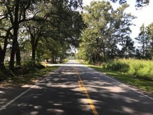 00 Bears Bluff Rd, Wadmalaw Island, SC 29487