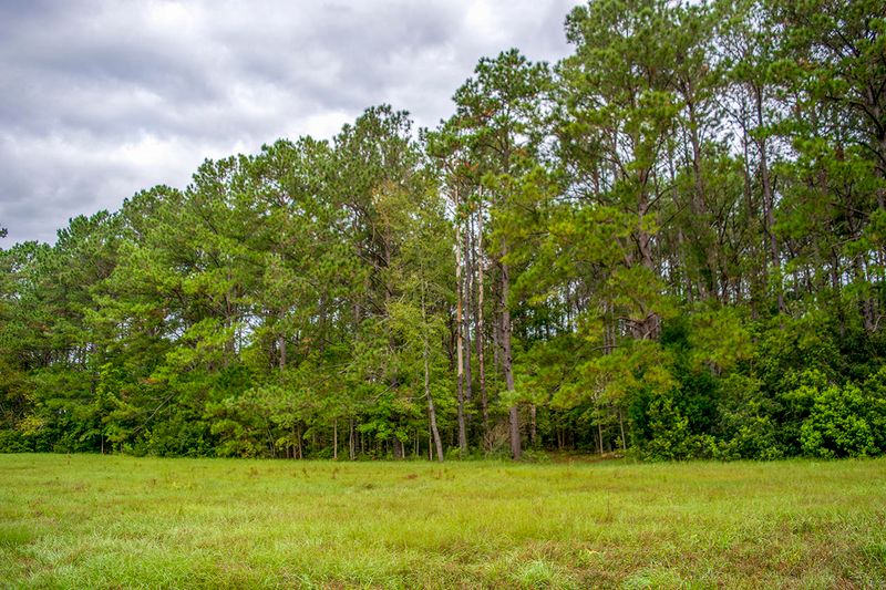 8477 Chisolm Plantation Rd, Edisto Island, SC 29438