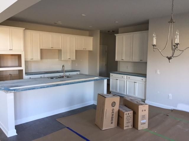 1117 Turkey Trot Dr, Johns Island, SC 29455