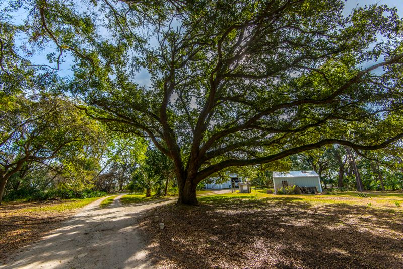 1195 Frampton Inlet Rd, Edisto Island, SC 29438
