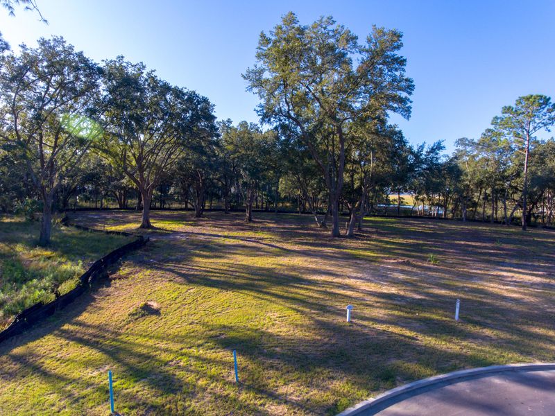 206 Fell Point, Daniel Island, SC 29492