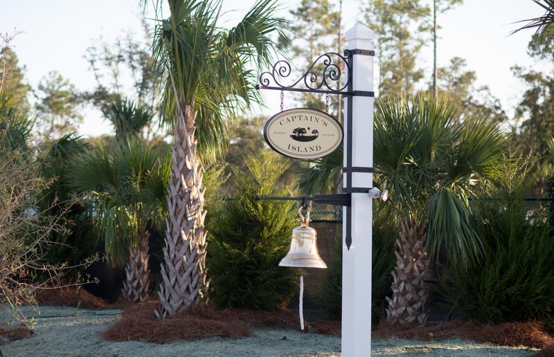 313 Bayley Rd, Daniel Island, SC 29492
