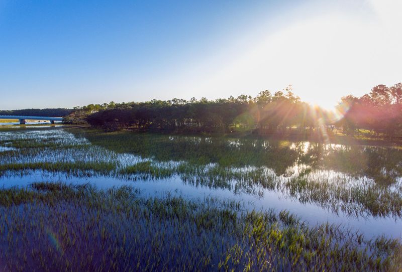125 Captains Island Dr, Daniel Island, SC 29492