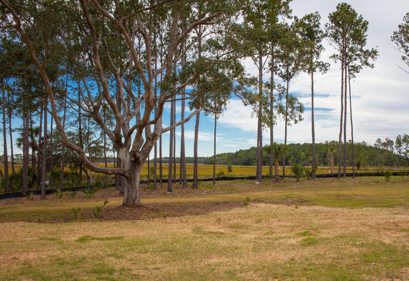 320 Bayley Rd, Daniel Island, SC 29492