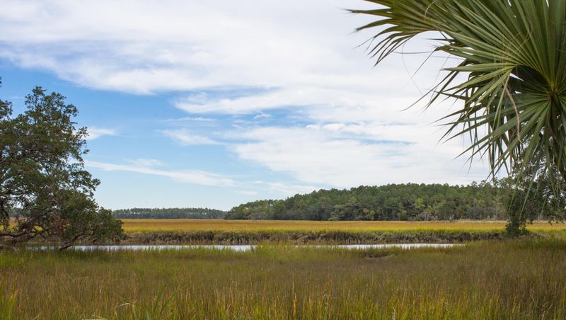 308 Bayley Rd, Daniel Island, SC 29492