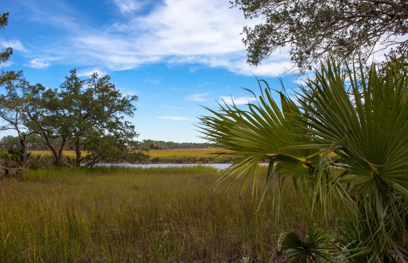 177 Captains Island Dr, Daniel Island, SC 29492