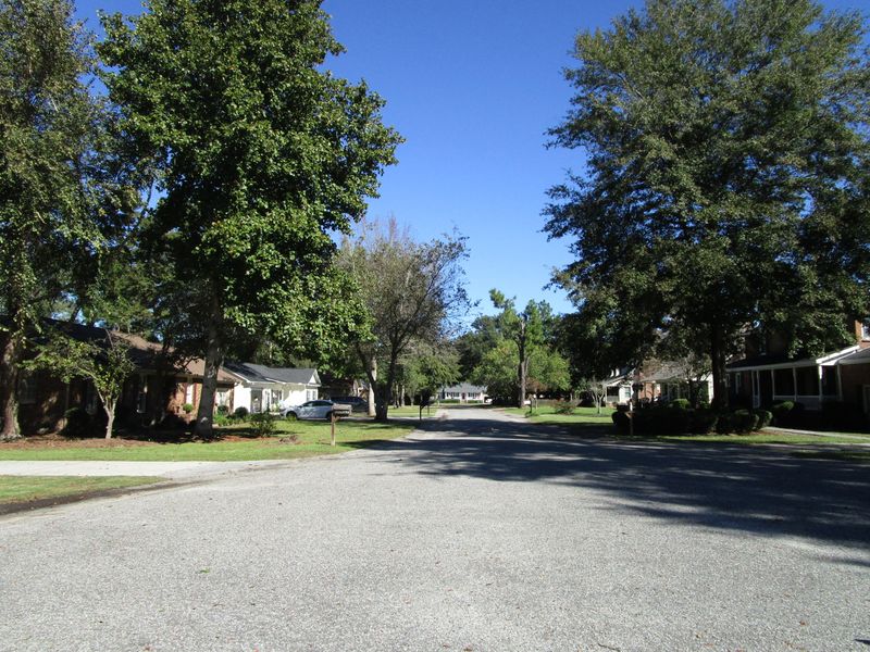 312 Patrick Ct, Moncks Corner, SC 29461