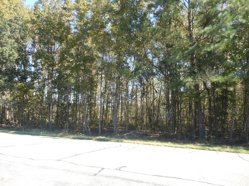 0 Sc Hwy 174 Hw, Adams Run, SC 29426