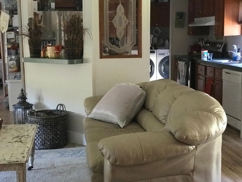 123 Timilstone Ct, Huger, SC 29450