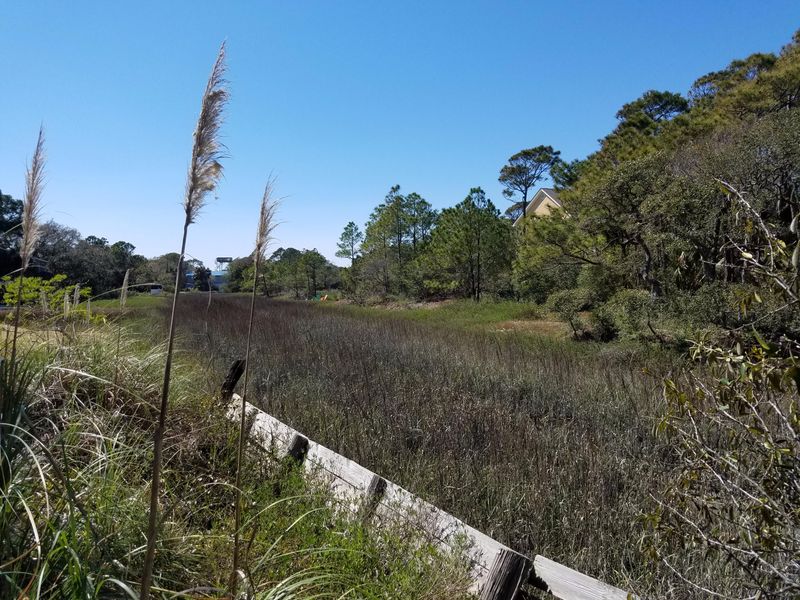 1318 E Ashley Ave, Folly Beach, SC 29439