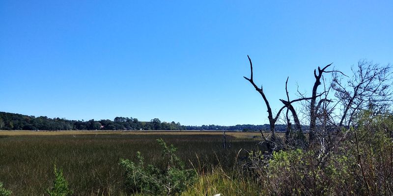 Lot 75 Tattersall Ln, Hollywood, SC 29449