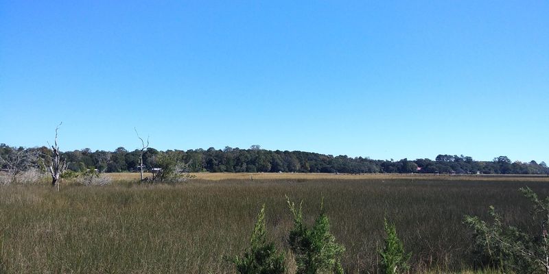 Lot 75 Tattersall Ln, Hollywood, SC 29449