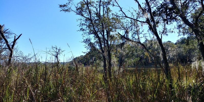 Lot 75 Tattersall Ln, Hollywood, SC 29449