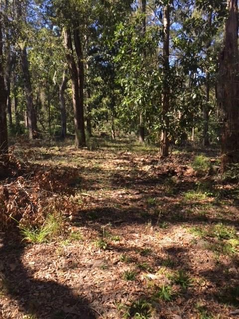 8584 Raccoon Island Rd, Edisto Island, SC 29438