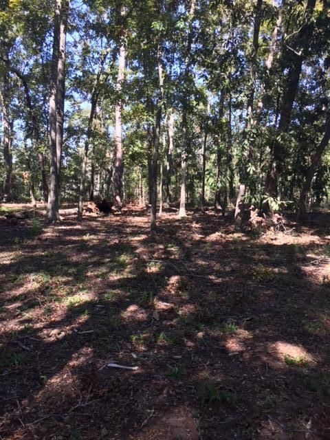 8584 Raccoon Island Rd, Edisto Island, SC 29438