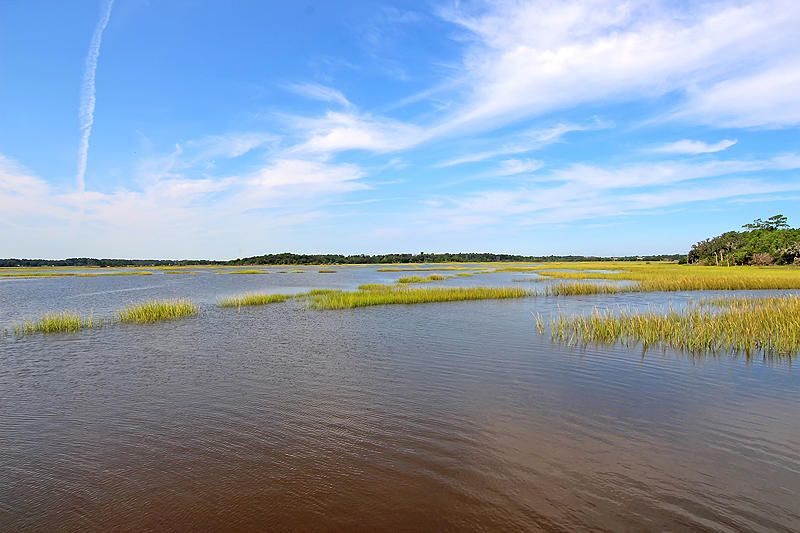 2120 Rookery Ln, Charleston, SC 29414