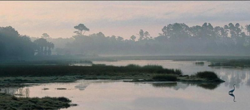 2485 Bald Eagle Ln, Johns Island, SC 29455