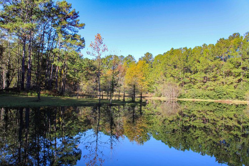 1268 Charity Church Rd, Huger, SC 29450