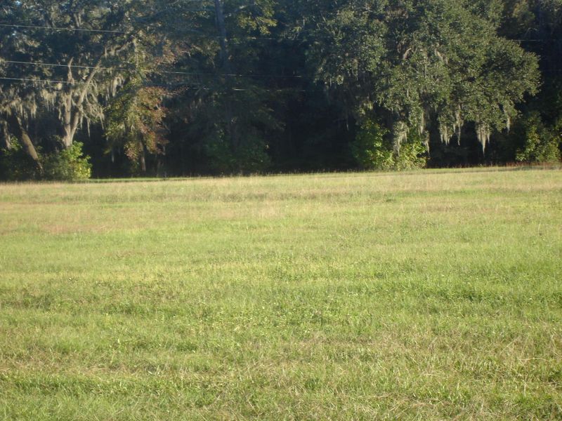 1-B Old Jacksonboro Rd, Ravenel, SC 29470