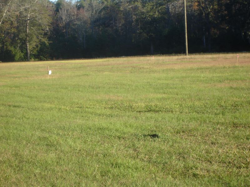 1-B Old Jacksonboro Rd, Ravenel, SC 29470