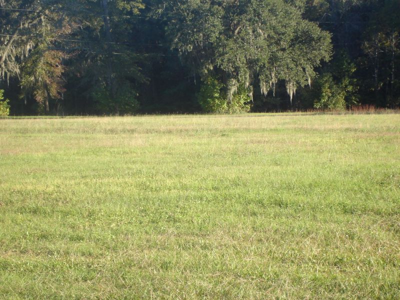 1-B Old Jacksonboro Rd, Ravenel, SC 29470