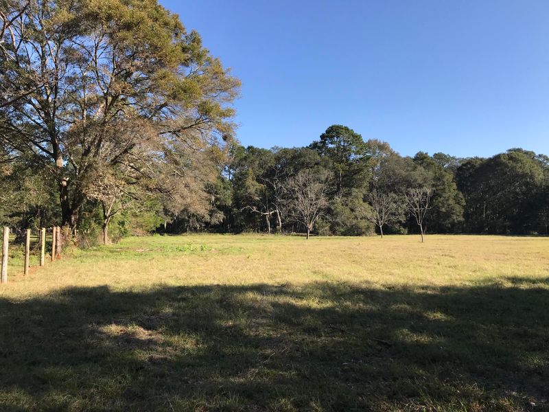3599 Dry St, Johns Island, SC 29455