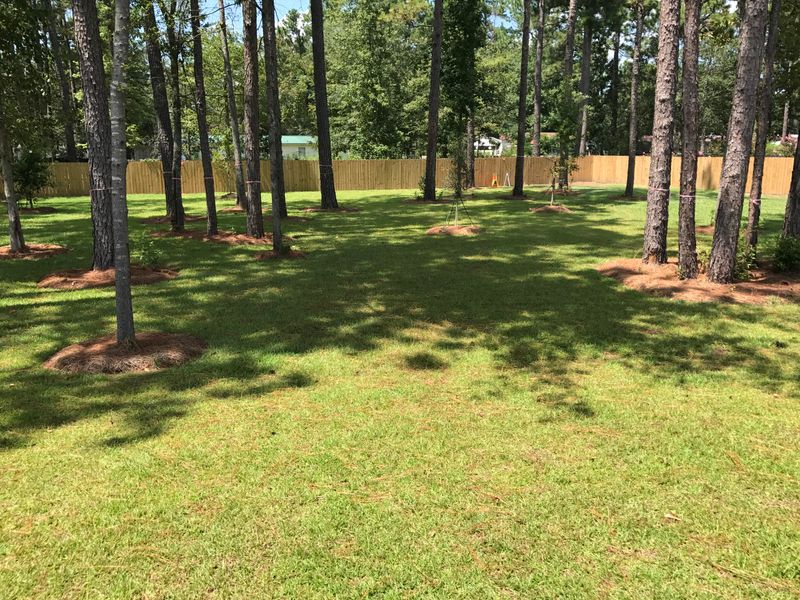 105 Bethpage Ct, Summerville, SC 29483