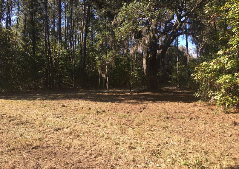 2321 Sadie Ln, Wadmalaw Island, SC 29487