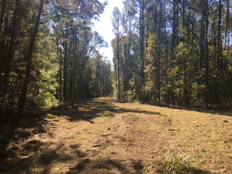 2321 Sadie Ln, Wadmalaw Island, SC 29487