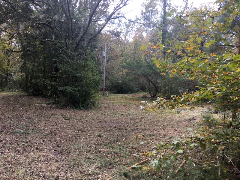 2321 Sadie Ln, Wadmalaw Island, SC 29487