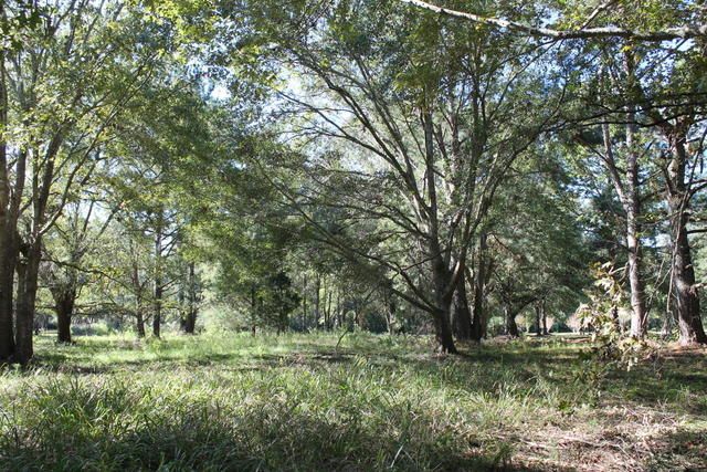 4454 Lord Proprietors Rd, Meggett, SC 29449
